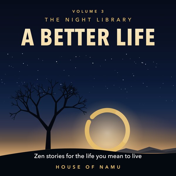 A Better Life cover