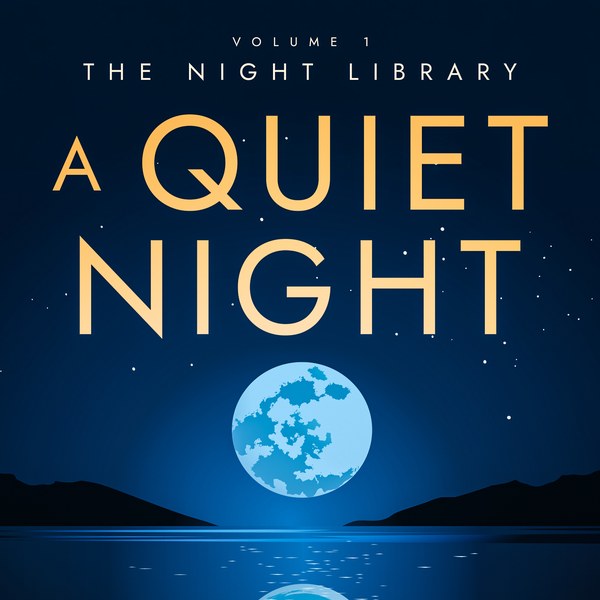 A Quiet Night cover
